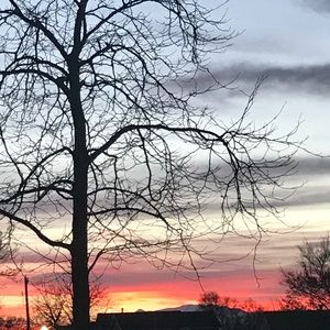 Meet your Posher, Mylie